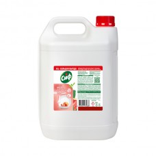 СИФ средство моющее для ручного мытья посуды 5л Легкость чистоты СИФ средство моющее для ручного мытья посуды 5л Легкость чистоты