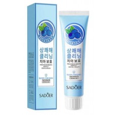 SADOER Зубная паста Черника 100г NO.SD12341