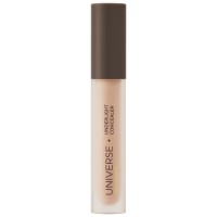 Арт Визаж Консилер светоотражающий UNIVERSE underlight concealer 203