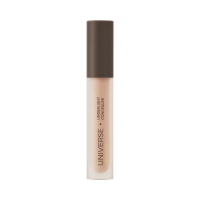 Арт Визаж Консилер светоотражающий UNIVERSE underlight concealer 201