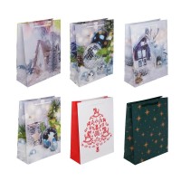 Пакет подарочный бумажный 18*24*7см 6 дизайна, Сноу Бум