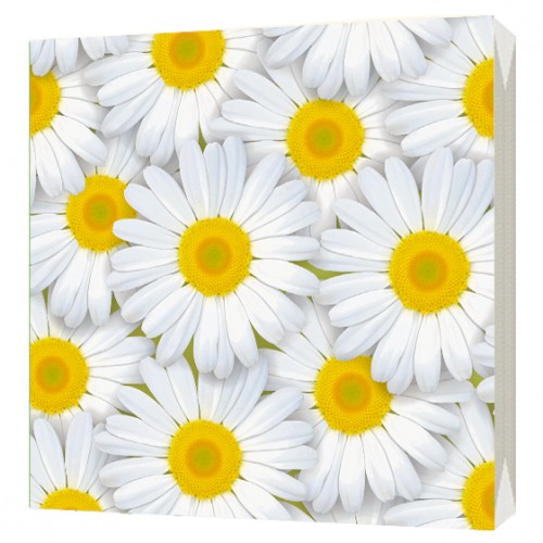 Салфетки бумажные 33*33см 3-х слойная 20шт Ромашки