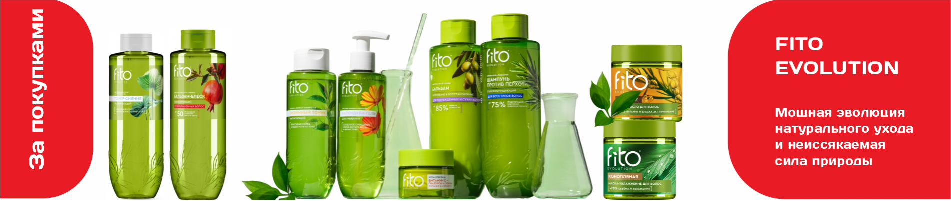 Fito Evolution
